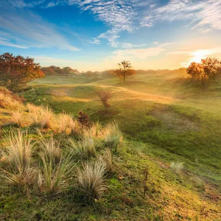 Zonneschijn By Interhome 別荘 ノールトウェイケルハウト　