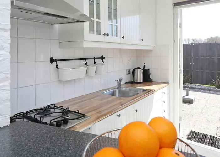 Zonneschijn By Interhome Tatil Evi Noordwijkerhout