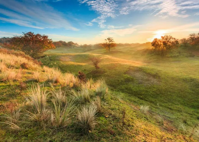 Zonneschijn By Interhome Nyaraló Noordwijkerhout
